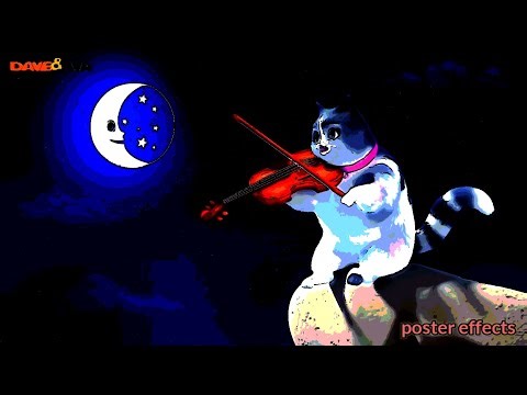 Playing Violin with Cat (Sponsored by preview 2 effects)