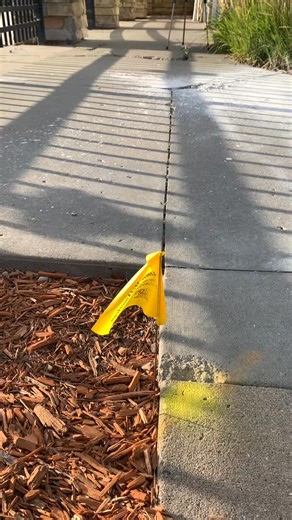 Daily Constructor life #ya #se #está #poniendo #bueno #para #tirar #concreto (423) | Derick Anderson