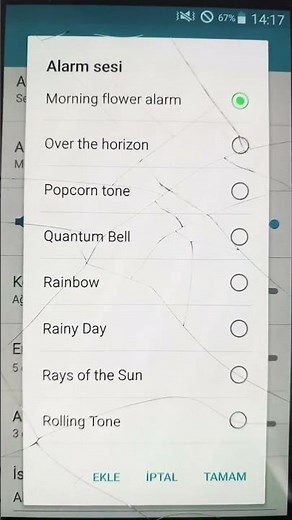 Samsung S4 Morning Flower Alarm