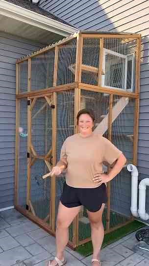 Making an Outdoor Catio for My Cats!