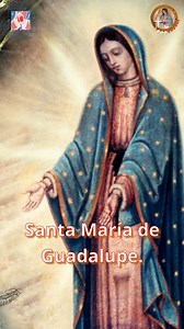 1.1M views · 116K reactions | La Perfecta Virgen SANTA MARÍA DE...