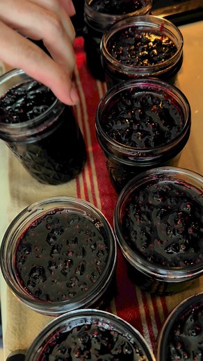 281K views · 261 reactions | I recently made raspberry jam with all the raspberries I saved from this year’s crop. I didn’t add the recipe to the video, but I used the same one as the strawberry jam a few weeks ago: 4 cups crushed berries, 1/4 cup lemon juice, 7cups sugar, 1 pkg liquid pectin, and 1 pat of butter to help with foaming. #canning #jam #raspberries #preserves #raspberrypreserves #raspberryjam #garden #gardening #homestead #homesteading | Lil Urban Farm | Facebook