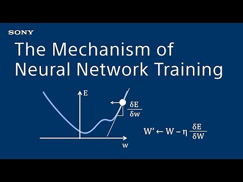 The Mechanism of Neural Network Training - Introduction to Deep Learning