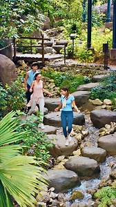 13 reactions | Mandai Wildlife Reserve on Reels | Facebook