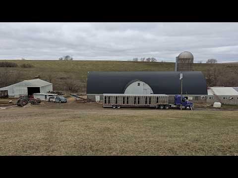 MOO-Ving Day | A New Home For Our Brown Swiss Cows