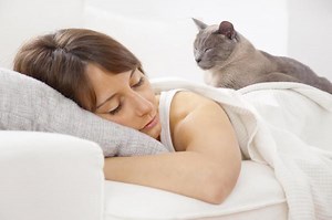 Why Does My Cat Lick My Face When I Am Sleeping? - Reasons Cats Lick Our Face at Night