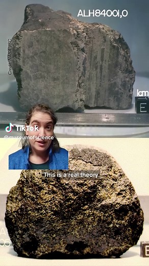 Could microbes survive a trip from Mars to Earth? That question is at the heart of panspermia, the idea that life could spread through space on meteorites. In a new study, some hardy microbes survived and the shock of an impact powerful enough to blast rock off the planet’s surface, suggesting that interplanetary travel may be more possible than it sounds. #Mars #Space #Microbes #Astronomy #ScienceFacts