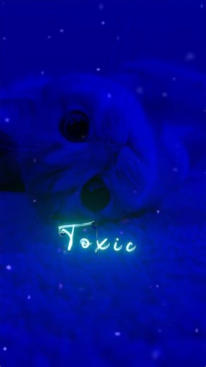 🎧 sickick - infected | Lyrics |