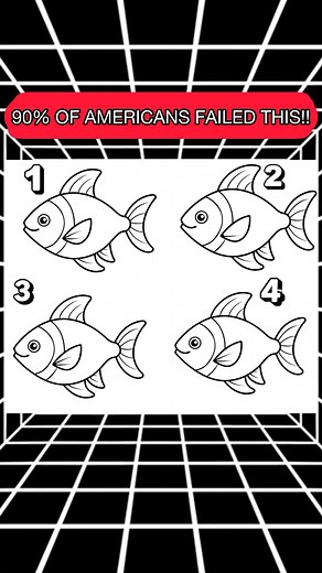 The difference is small — most people don’t see it on the first try. #quiz #QuizTime #fun #noblequiz #fblifestyle | iPhone Series