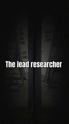 1974: Egypt SEALED a Discovery Beneath the Great Pyramid #Shorts