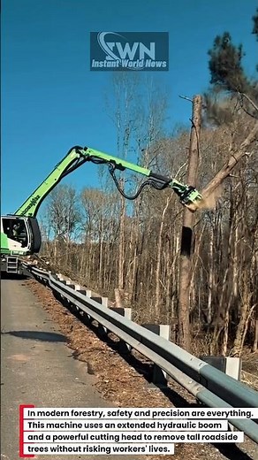 How Machines Safely Cut Roadside Trees | Modern Forestry Technology‼️#shorts #machine