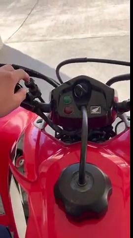 Honda TRX 250 review