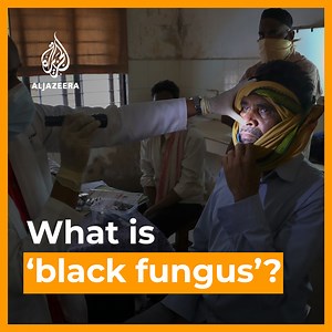 286K views · 1.4K reactions | While India battles a brutal second wave of COVID-19, a rare and deadly fungal disease known as ‘black fungus’ is spreading across the country. Read more: https://aje.io/2cd2n5 | Al Jazeera English | Facebook
