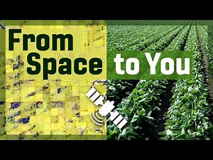 Satellite data: From space to you