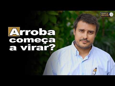 Fat cattle: Has the market started to react? Felipe Fabbri, from Scot Consultoria, comments.