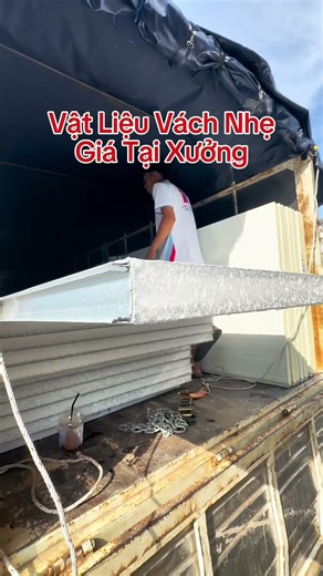 Vật Liệu Vách Nhẹ Giá Tại Xưởng #panelthinhphat #panelcachnhiet #tampanel #paneleps #eps