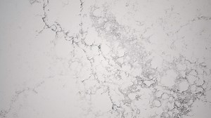 1.1K views · 12 reactions | Soft, refined ebony veining traverses a pure white base, creating an interplay between darkness and light. Explore how Caesarstone designers draw inspiration from nature to create our newest 2019 color, Empira White 5151. | Caesarstone US | Facebook