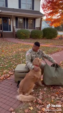 best welcoming committee. Welcome home, soldier. ❤️❤️❤️ #dog #soldier #familytime #militaryhomecoming