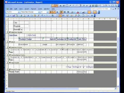 Microsoft Access ® 2003 Sales Invoice: 3 Report