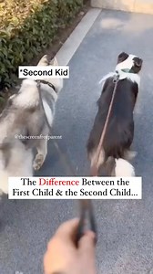 4.5M views · 7.1K reactions | How Birth Order Predicts Personality ...