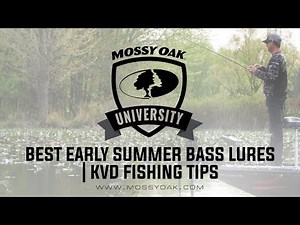 Best Early Summer Bass Lures | KVD Fishing Tips