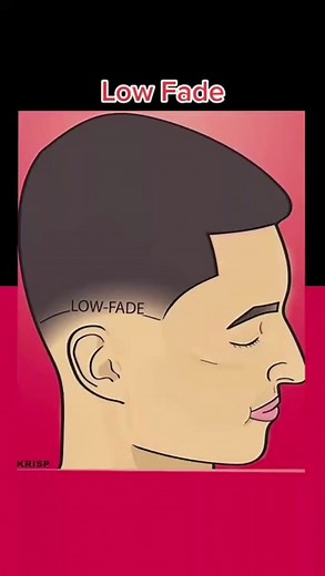 A guide to different fade styles! Save this and try one 👌🏽 #fadehaircut #faded #burstfade #taperfade Art by - #kindakrisp