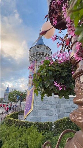 Cinderella Castle at Disney’s Magic Kingdom!