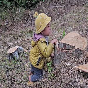 The rescue of his sister, by the Elephant boy and the kind woman | The Brother