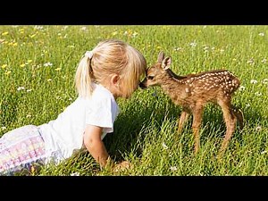 Cutest Baby Animals Ever 😍 You Won’t Stop Watching 😂