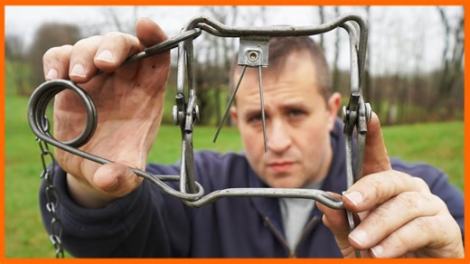Vicious predator battles farmer in a dramatic man versus mink showdown