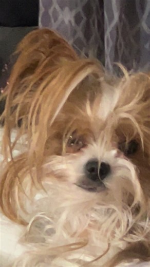 The Parti House (@thepartihouse)’s videos with original sound - The Parti House