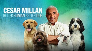 Cesar Millan: Better Human Better Dog - Nat Geo & Disney  Series - Where To Watch