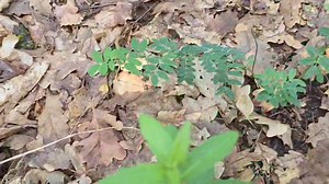 133K views · 1.6K reactions | Primii Hribi pe 2024! Am montat patul în casa de la Vorța | MarianAdventures | Facebook