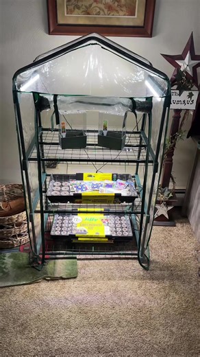 Spring Planting: Start Your Garden Now!