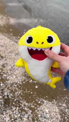 sushi ninja funny video#shorts