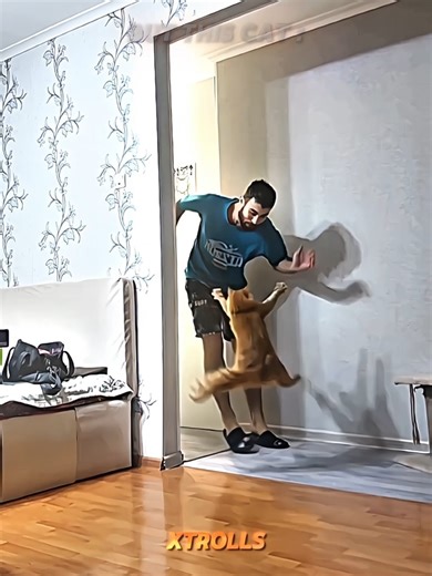 Others Scarry Prank vs This Cat 💀 #trollface #skulledit #respect