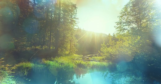Mensagens de Falecimento - Mundo das Mensagens