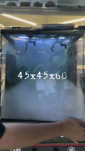 45x45x60#Foggy Stream#creatorsearchinsights #paludarium #terrarium #aquarium