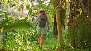 Woman Hiking in Rainforest Jungle