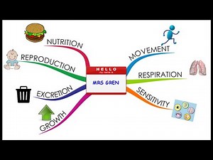 Life processes for grade 6 from oxford science