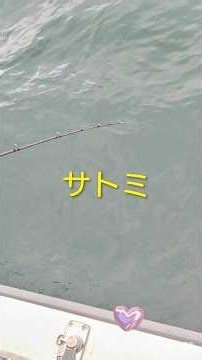 サトミ