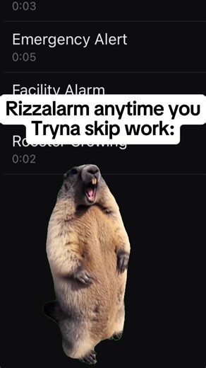 Get the Best Alarm App for Your Mornings