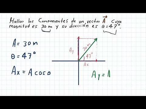 How to calculate the components of a vector