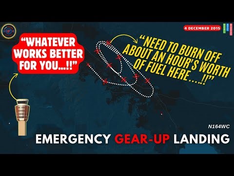 Super Calm Pilot Nails Emergency Jet Landing | Incredible Pilot Save! #atc