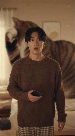 Giant Cat Problem😂😂😂