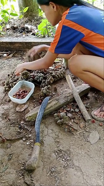 Buah Barangan: Cemilan Enak dan Sehat dari Pohon Barangan