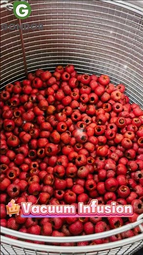 Revolutionize Candy Production with Vacuum Sugar Impregnation Technology! 🍬🏭#candiedfruit #fruit