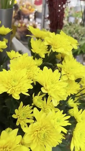 25K views · 293 reactions | Embrace sustainable floral design with...