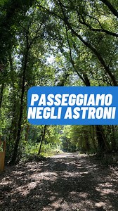 195 reactions · 20 shares | Scopriamo Econauti, un progetto che ha creato un'epserienza di gioco all'interno della riserva degli Astroni! | Storie di Napoli | Facebook