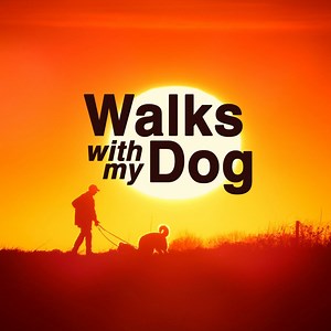 Big meal ✅ Time with loved ones ✅ Now get out and take the pup for a walk! That's the premise of our new series, 'Walks with my Dog.' Where will fido lead you? Watch now at http://bit.ly/2Sahg5h | Curiosity Stream